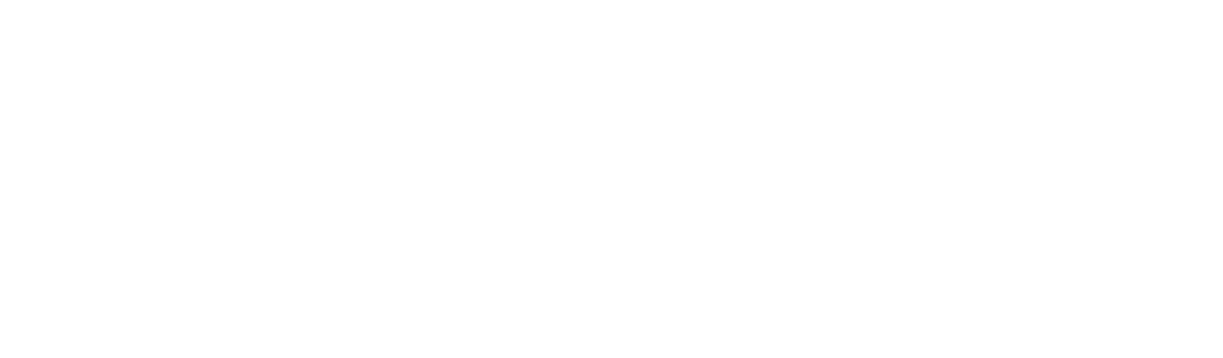 CR-137-wireframe