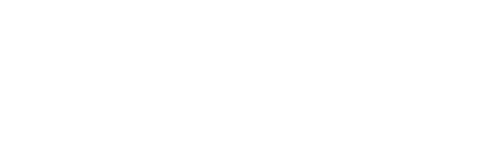 Heavy-Walk-In-Rescue-wireframe