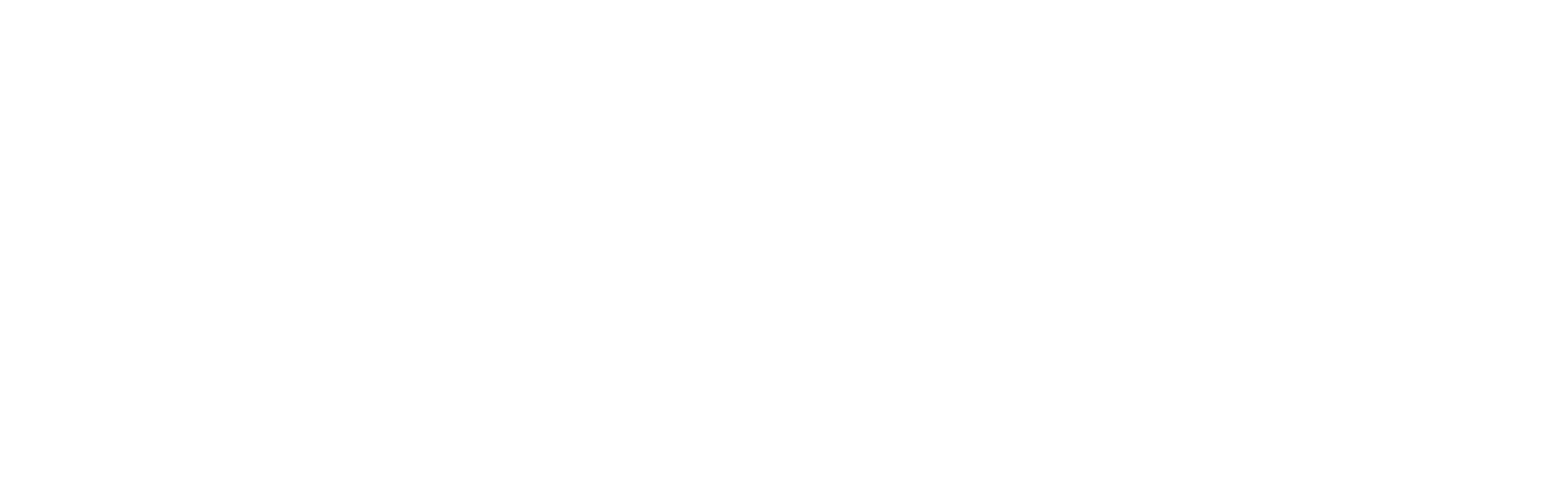 wireframe