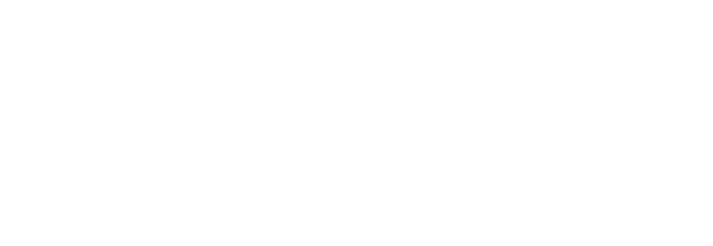 wireframe